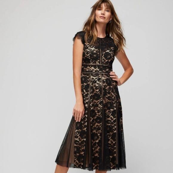 WHBM Black Cap Sleeve All Over Lace Godet Fit & Flare Dress Sz 6 Holiday NWT - Picture 3 of 17